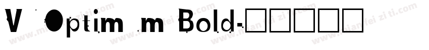 VNOptimum Bold字体转换